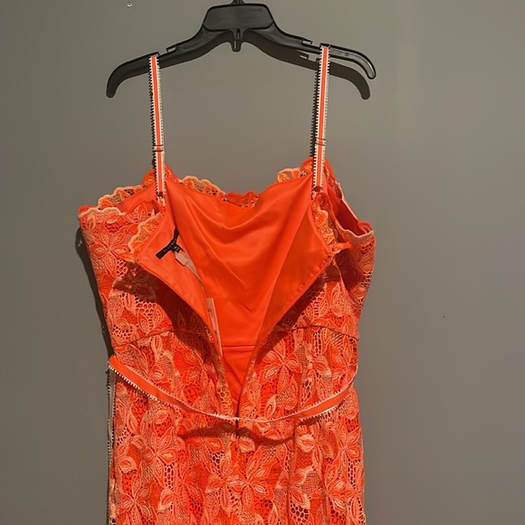 Alex Marie
Crystal Embroidered Lace Sleeveless Dress - Picture 7 of 10